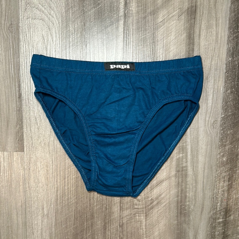 Papi Teal Cotton Low Rise Bikini Brief - Small